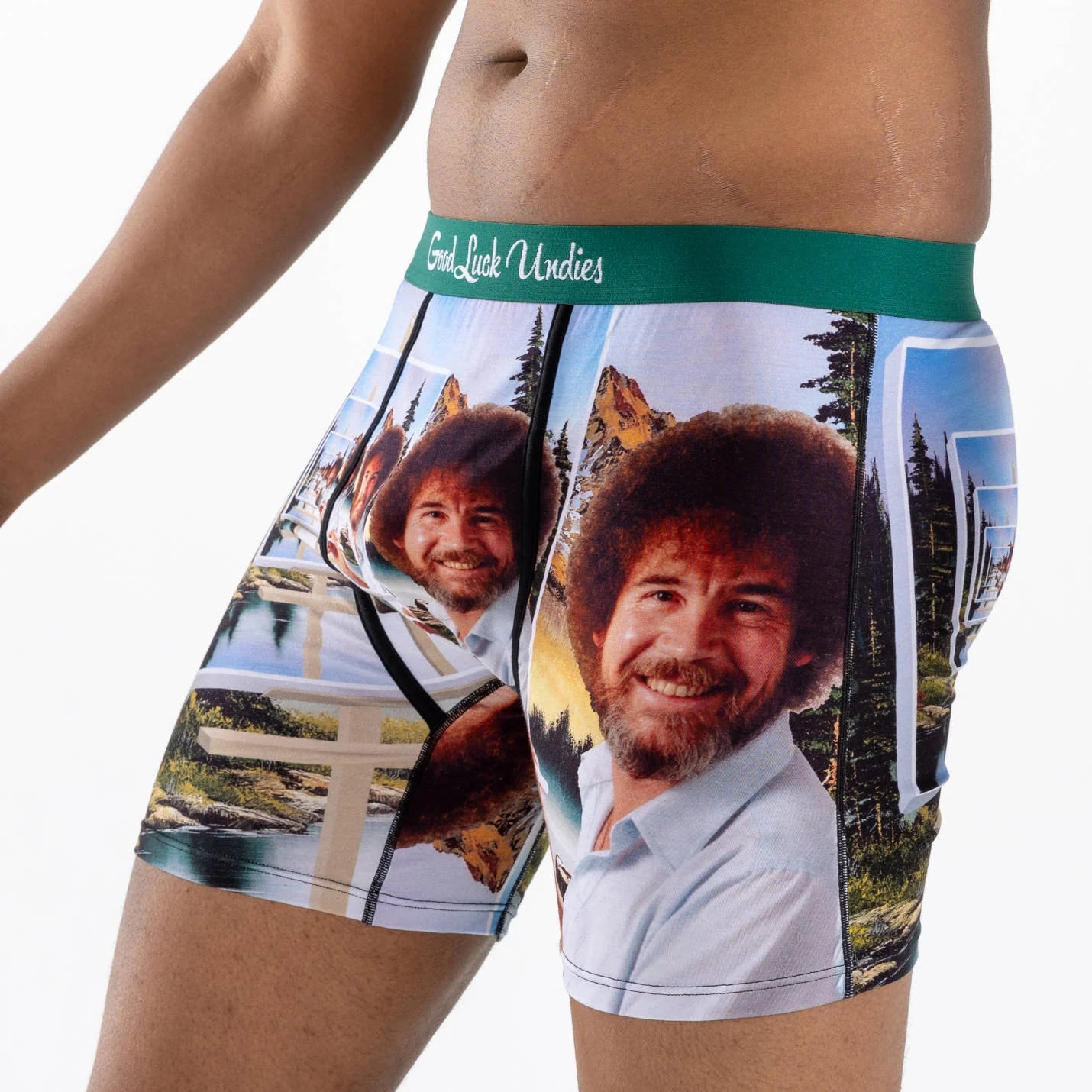 Bob Ross, Reflection