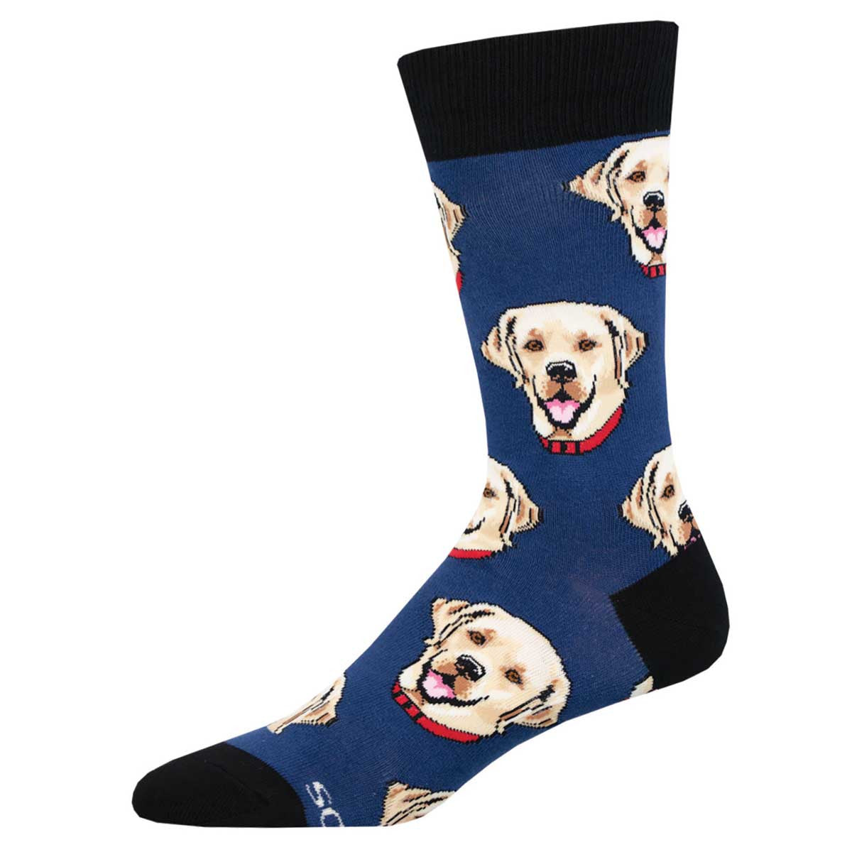 Labrador