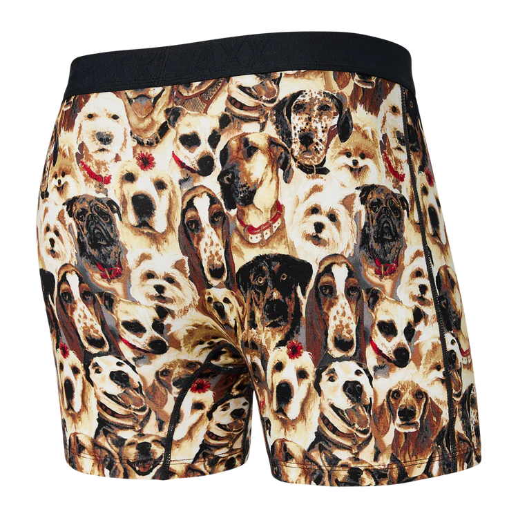 Vibe Boxer Brief - Dogs of Saxx