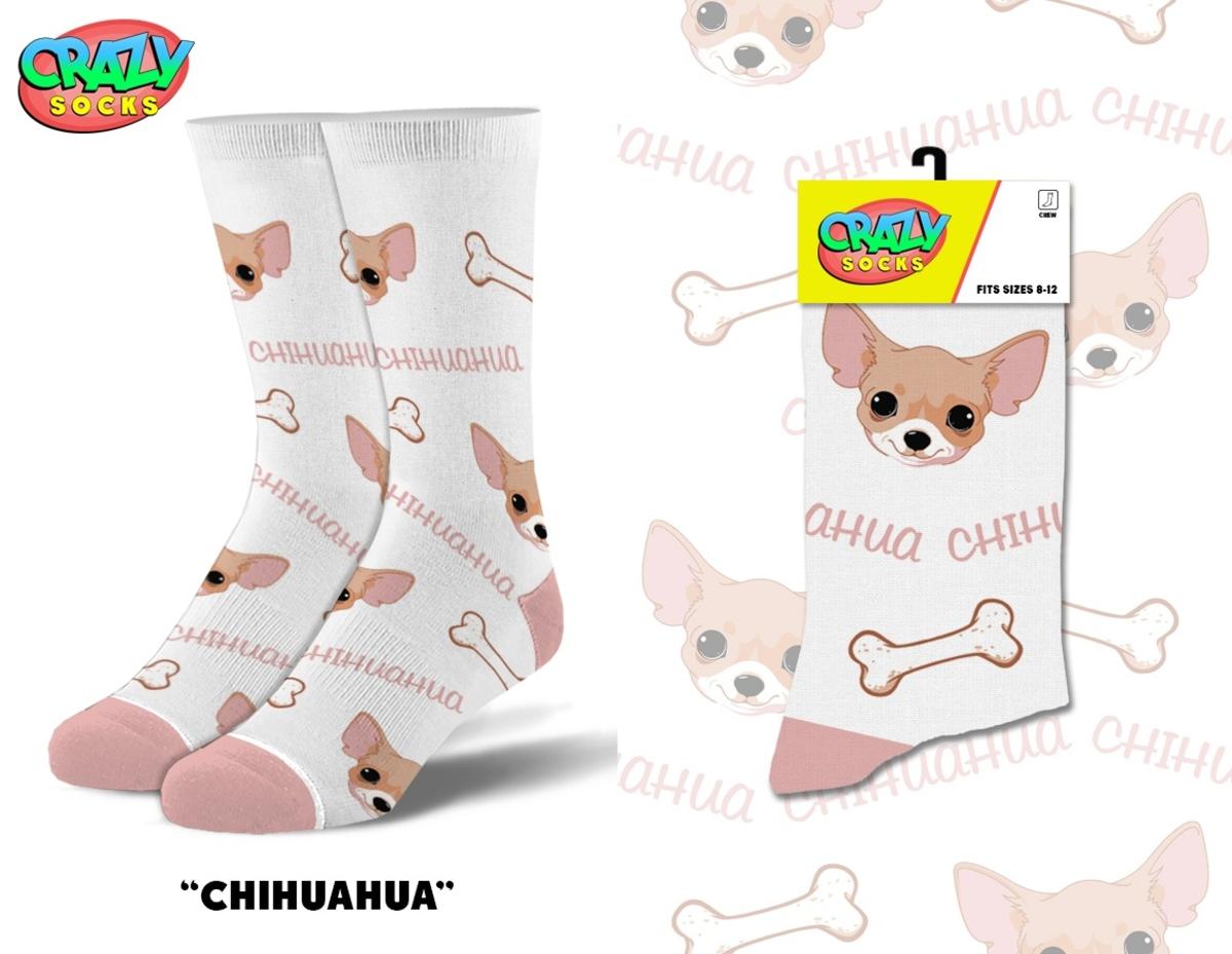 Chihuahua