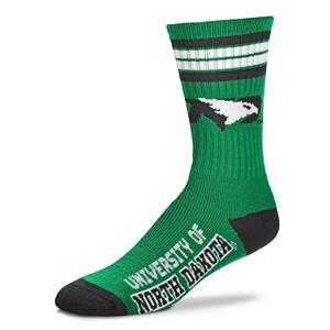 North Dakota Fighting Hawks