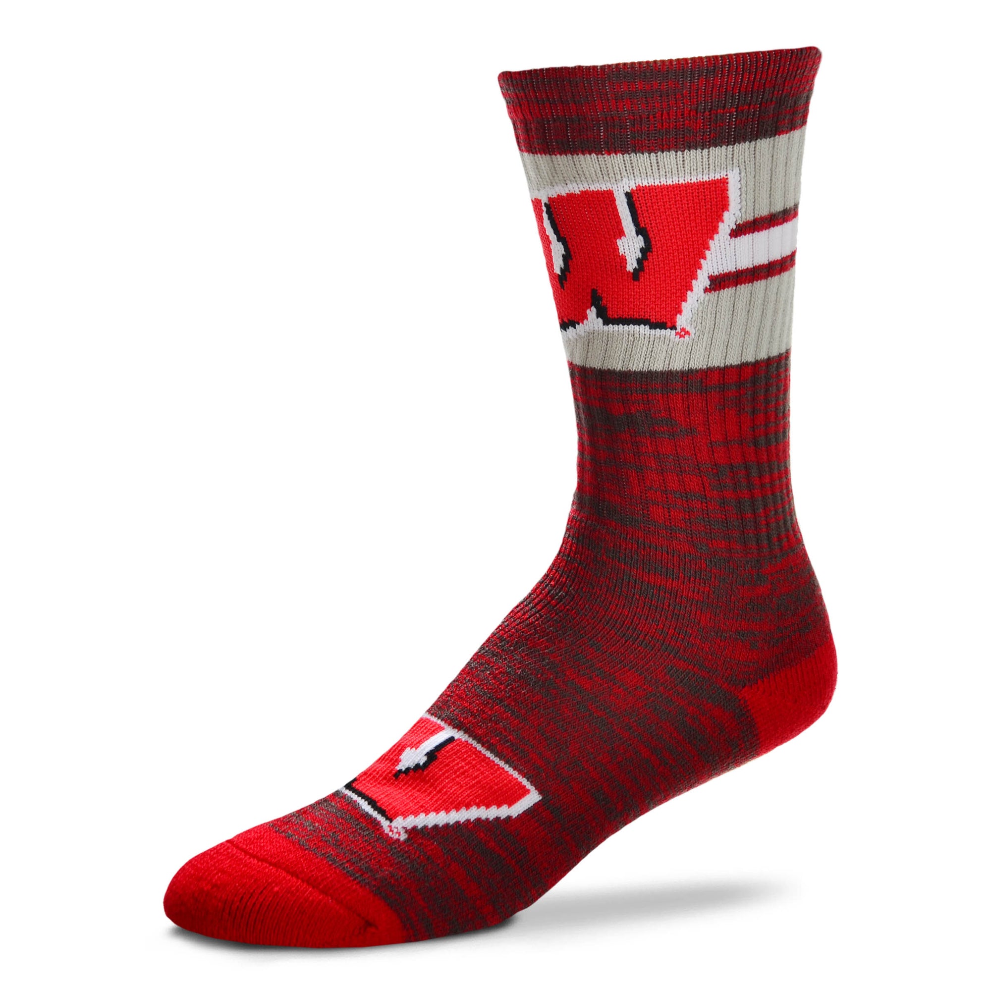 Wisconsin Badgers