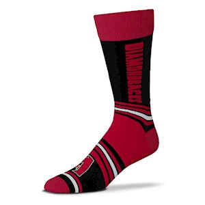 Arizona Diamondbacks