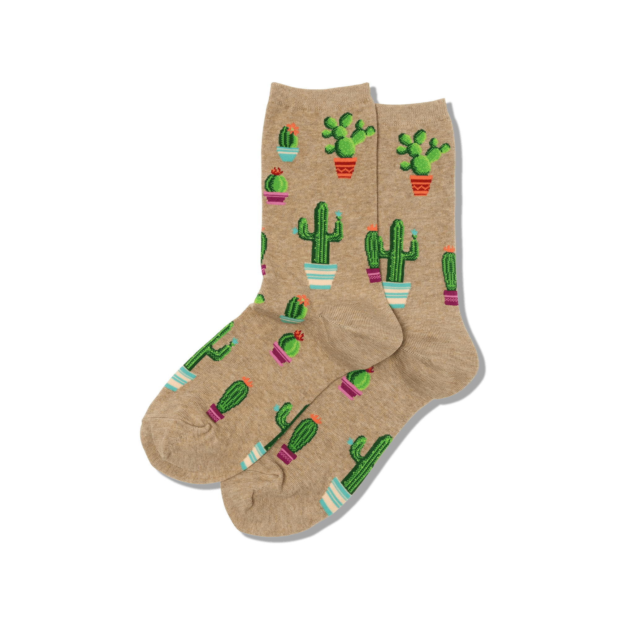 Potted Cactus