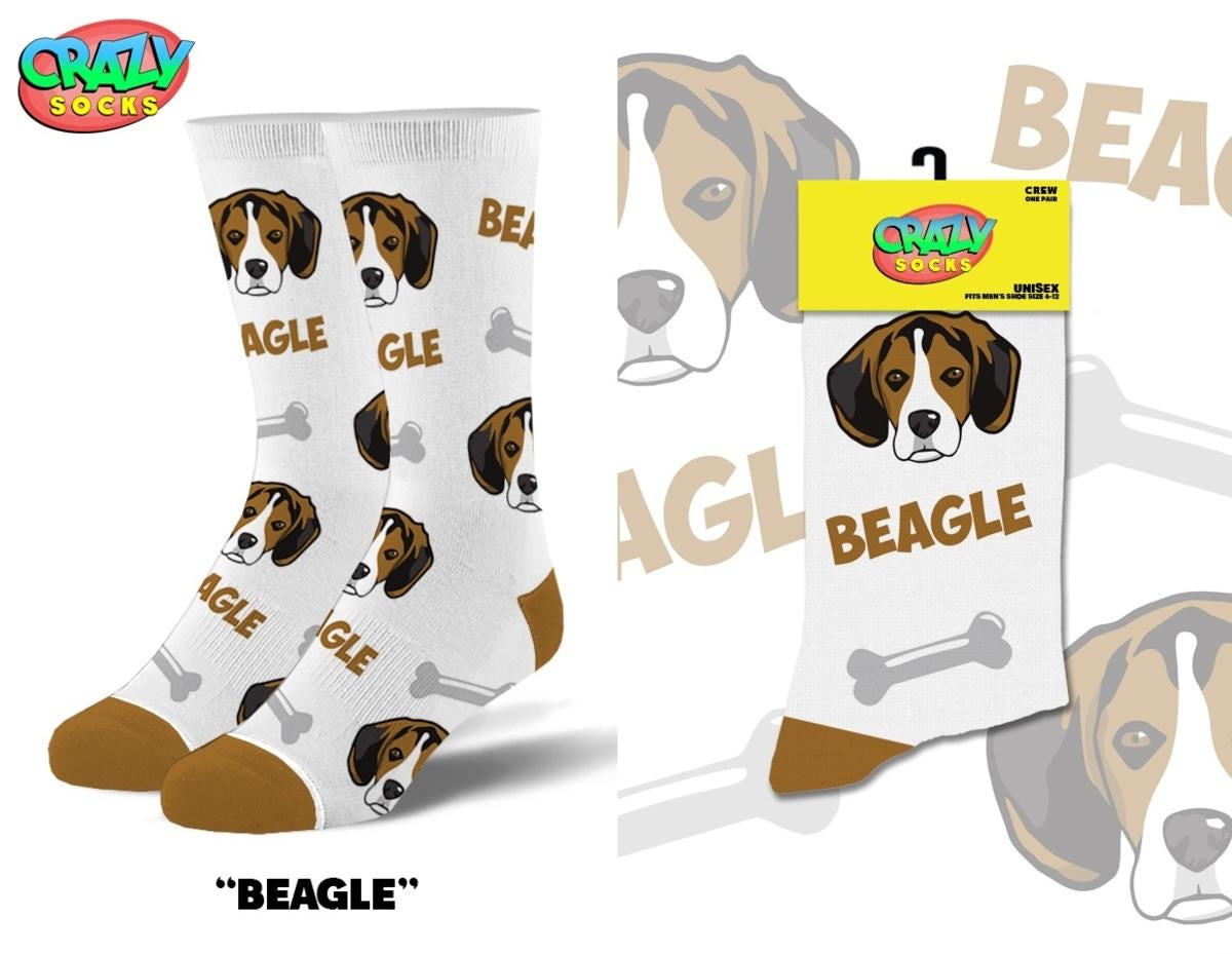 Beagle