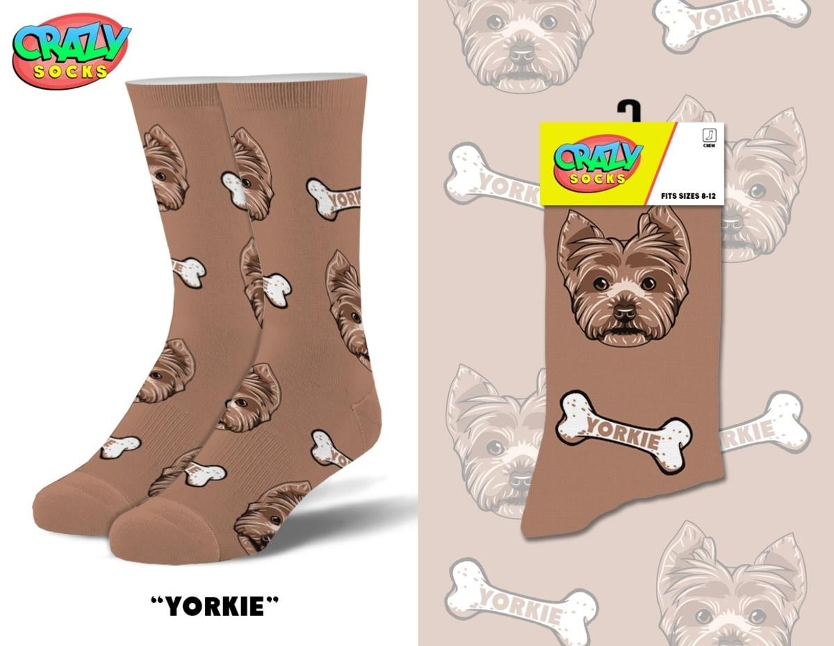 Yorkie