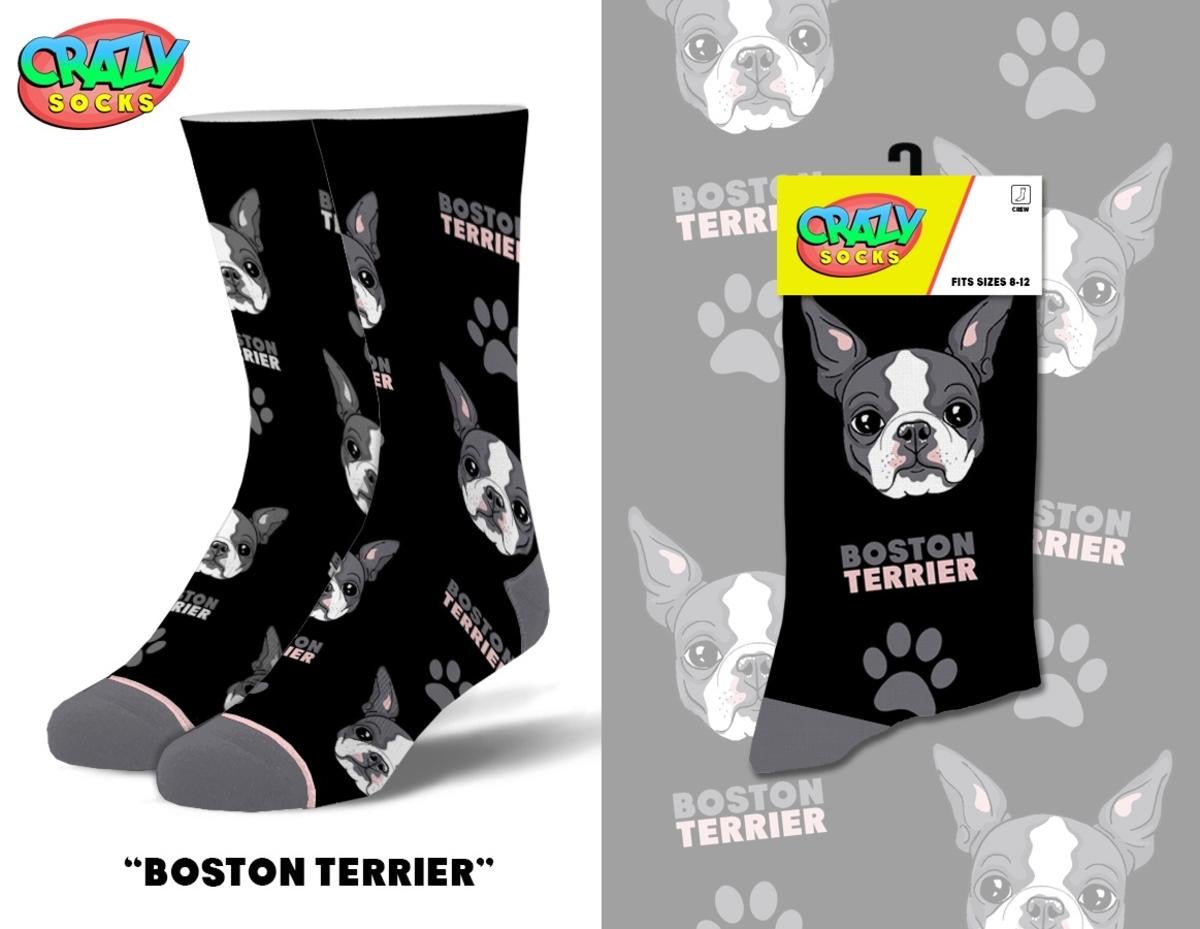 Boston Terrier