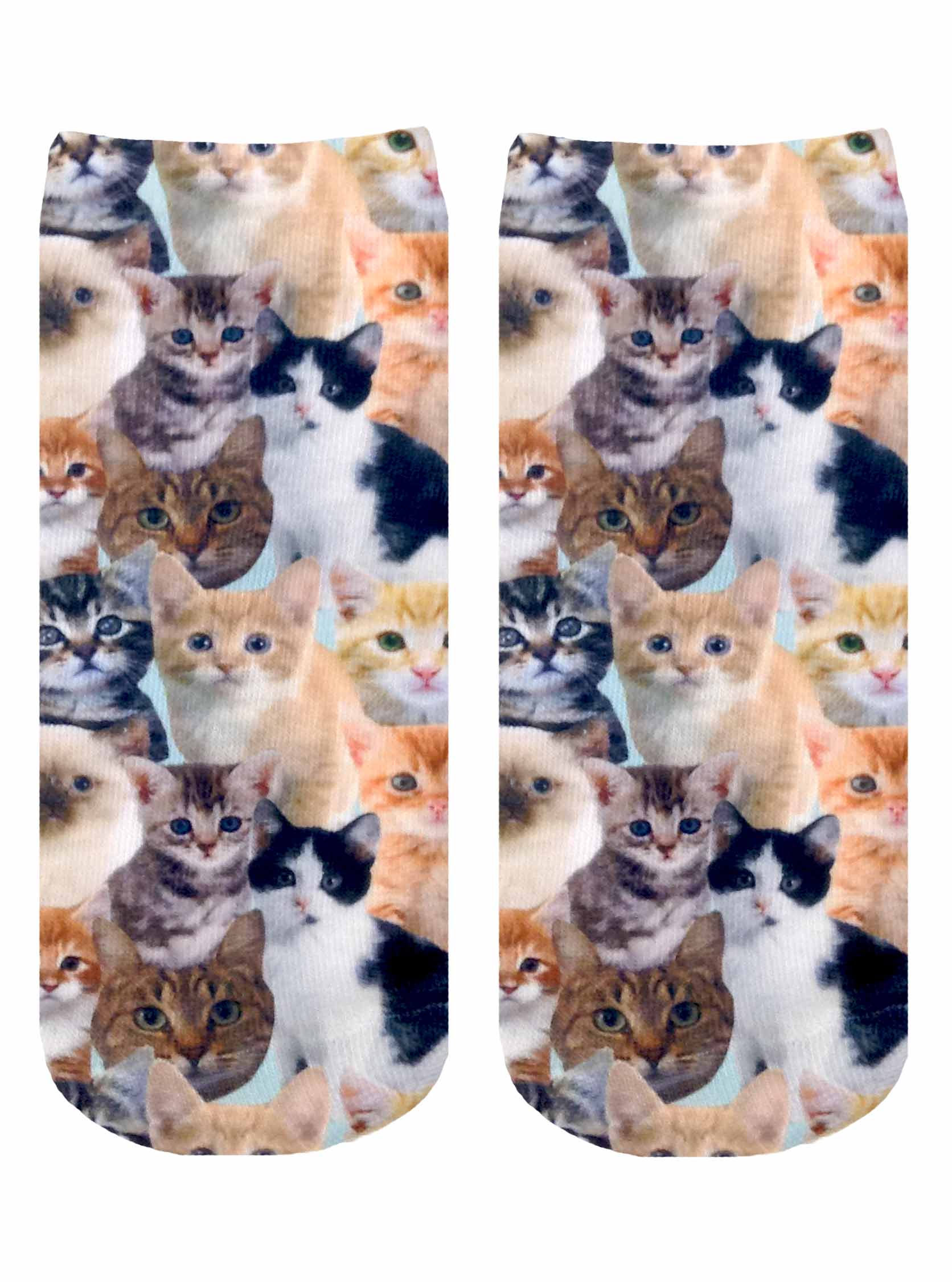 Kitty All Over