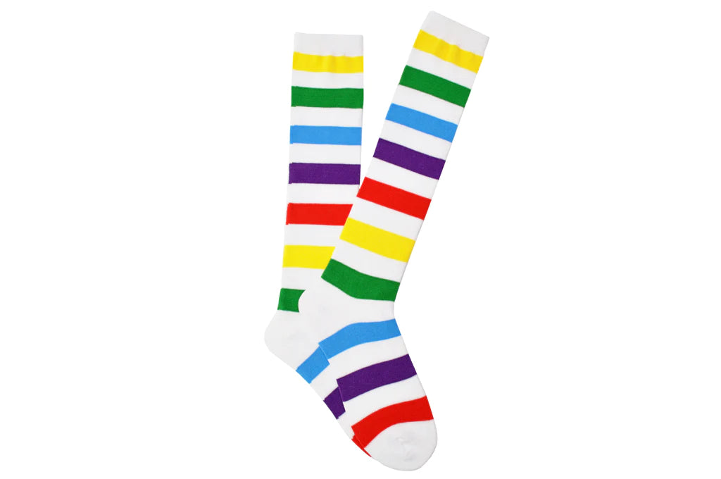 Sock House Co. Ladies Rainbow Thigh High Socks