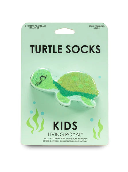 Turtle Kids 3D