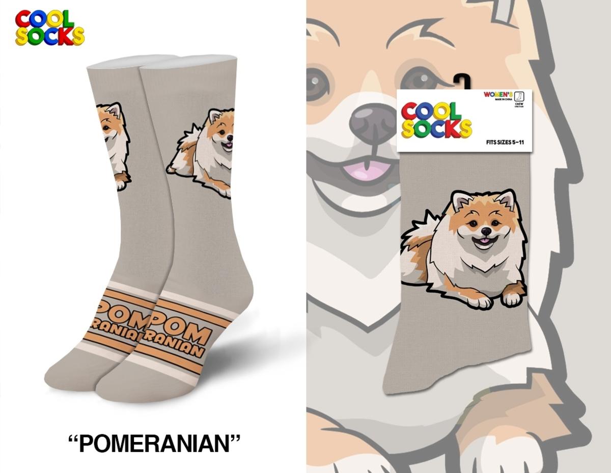 *Pomeranian