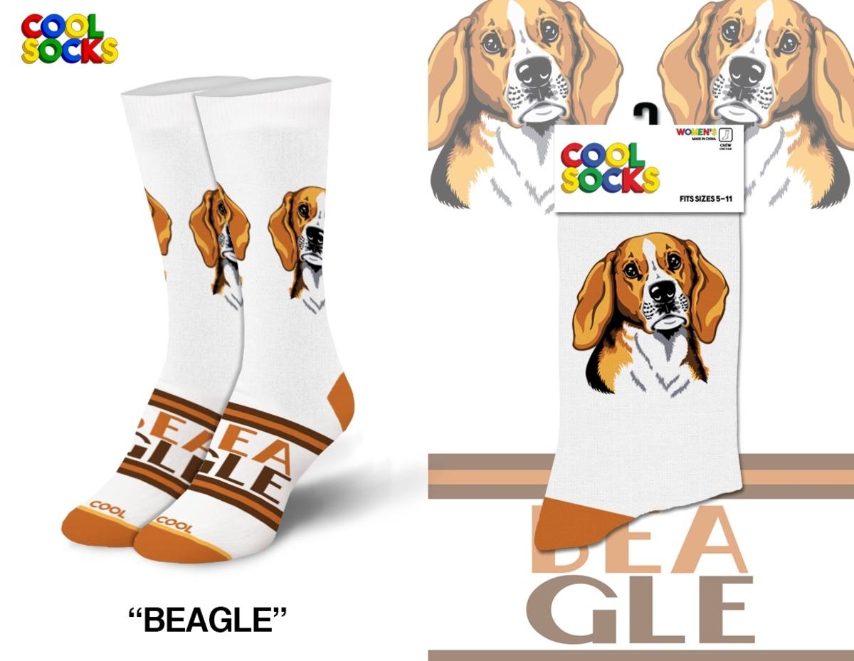 *Beagle