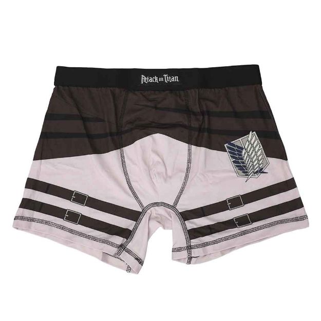 Attack On Titan Scout Boxer Briefs