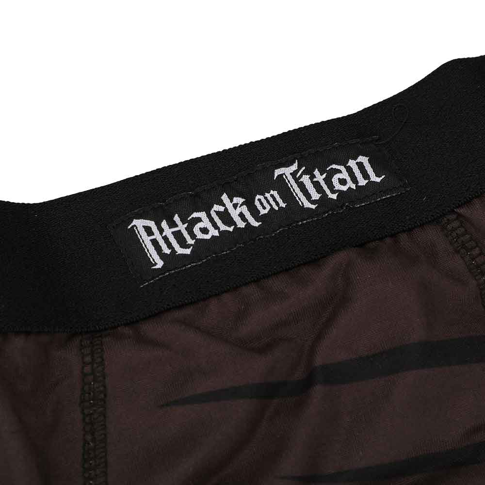 Attack On Titan Scout Boxer Briefs