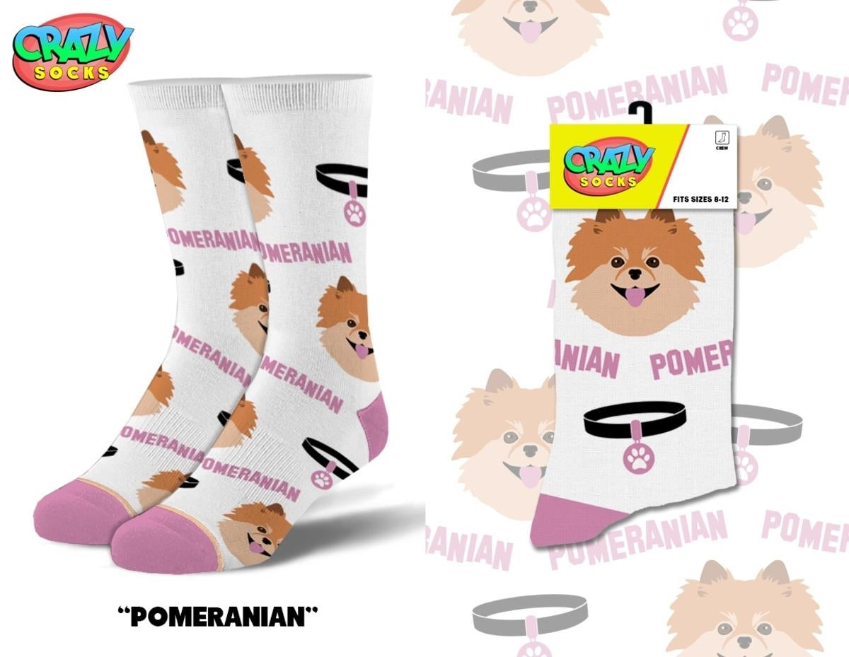 Pomeranian